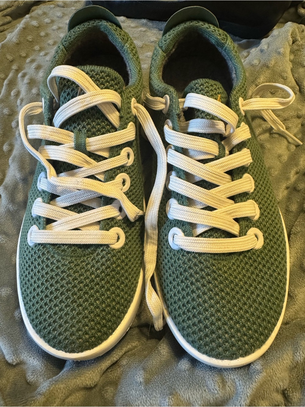 allbirds Olive Green Knit Sneakers